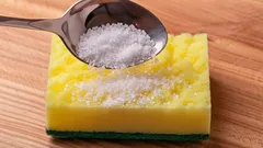 Come eliminare l'umidità in eccesso dal frigorifero: ricordatevi questo trucchetto con la spugna e il sale